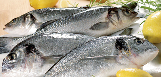 Salmodis est spécialisée dans les produits issus de l’aquaculture marine et continentale